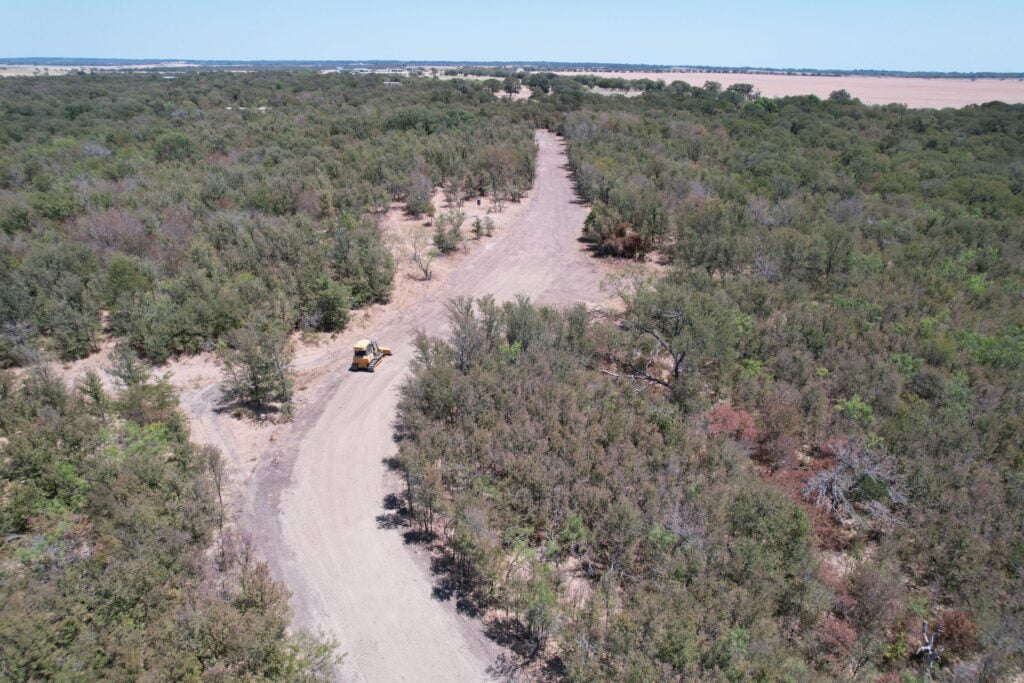 Grapeland TX
