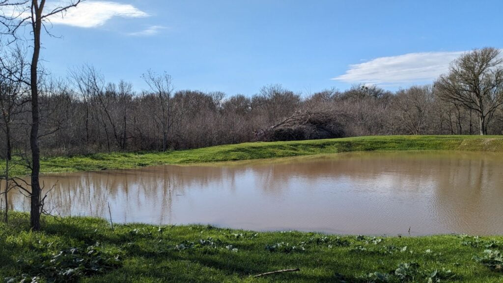 Buffalo TX