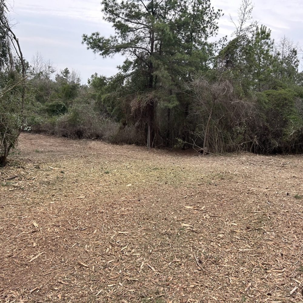 underbrush mulching 3